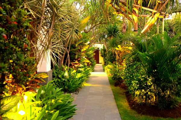 Villa Sally Garden Area | Canggu, Bali