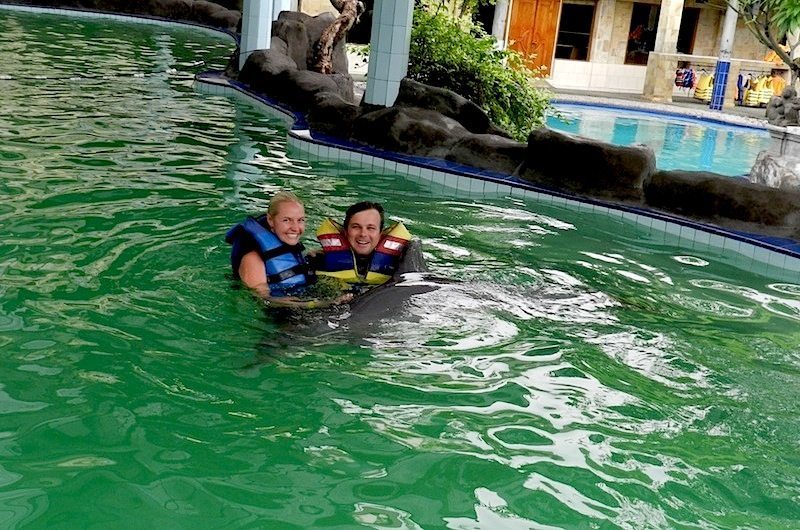 Swimming with the Dophins in Bali