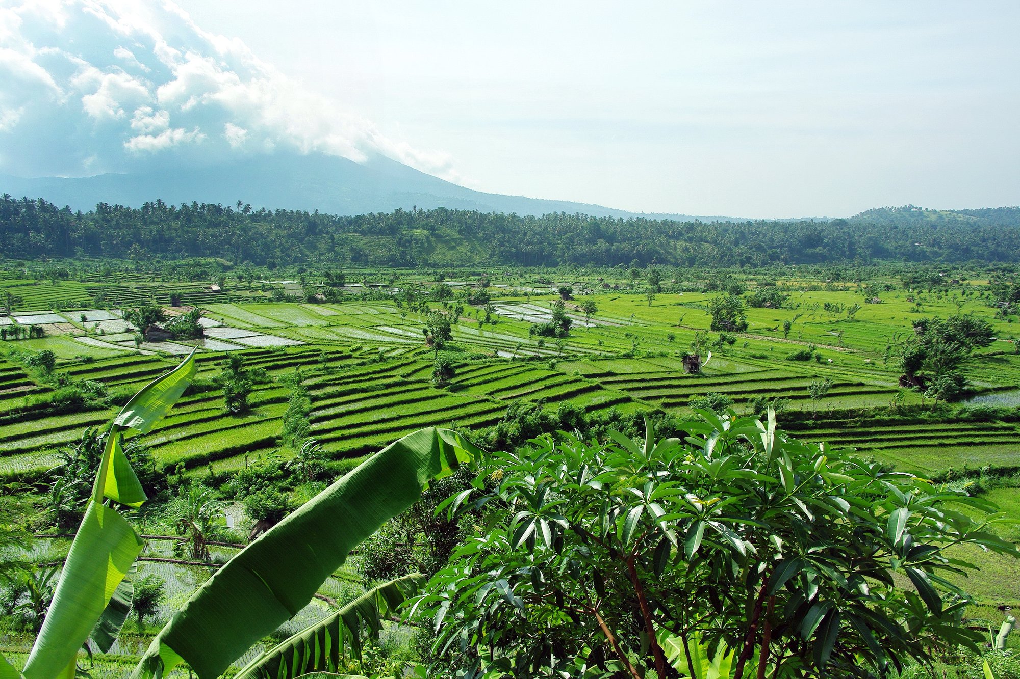 Top 10 Must-Do’s in Bali