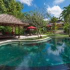Villa Pangi Gita Swimming Pool | Pererenan, Bali