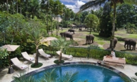 Elephant Safari Park Lodge Over View I Ubud, Bali