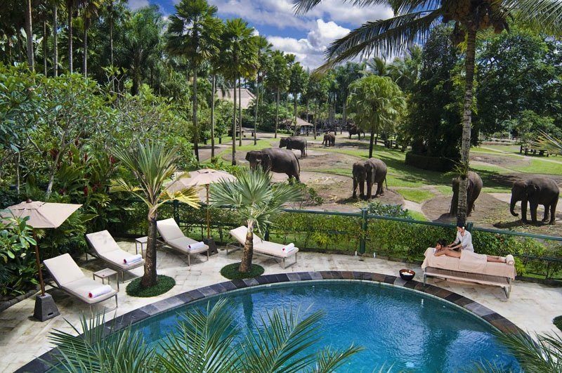 Elephant Safari Park Lodge Over View I Ubud, Bali