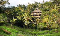 Pelangi Estate Outdoor View | Ubud, Bali
