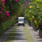 The Layar Boulevard | Seminyak, Bali