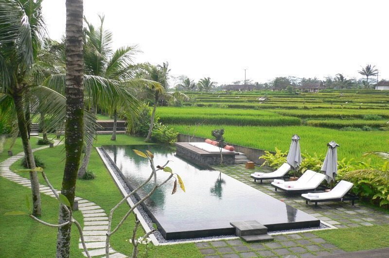 Villa Amala Swimming Pool | Ubud, Bali