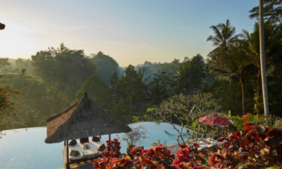 Villa Bayad Gardens and Pool View from Top | Ubud, Bali