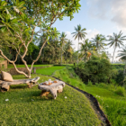 Villa Kelusa Pondok Surya Gardens with Seating Area | Ubud, Bali