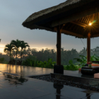 Villa Rumah Lotus Pool Bale | Ubud, Bali