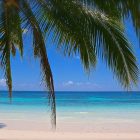 Bacaya Beach Front| Koh Samui, Thailand