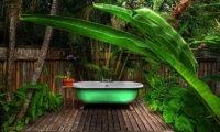 The Fleming Villa Bathtub | Oracabessa, Jamaica