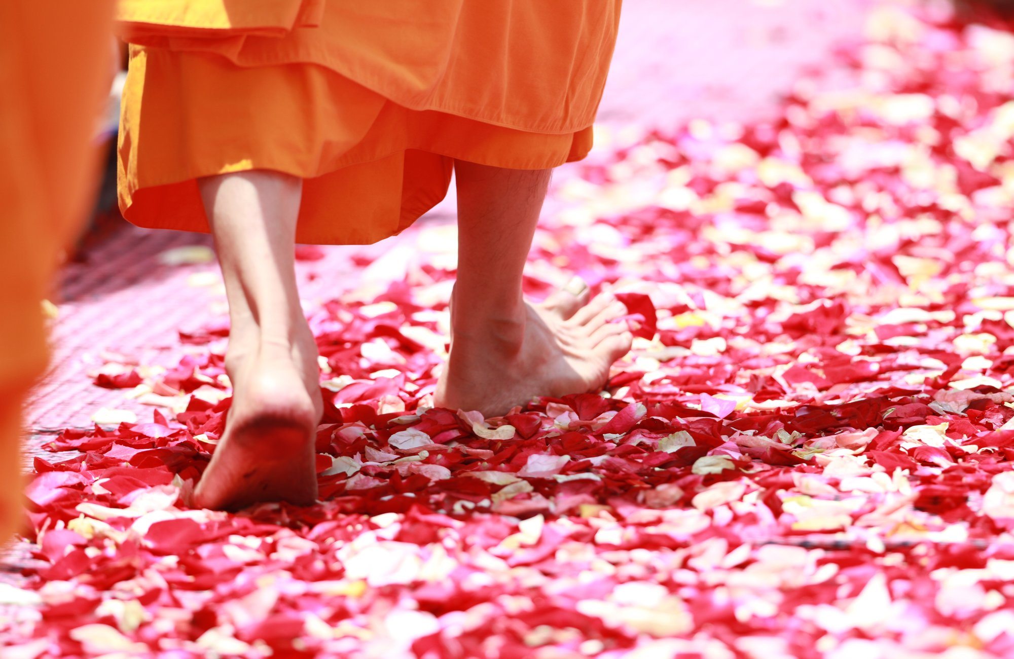 Top 10 Places to Visit in Thailand