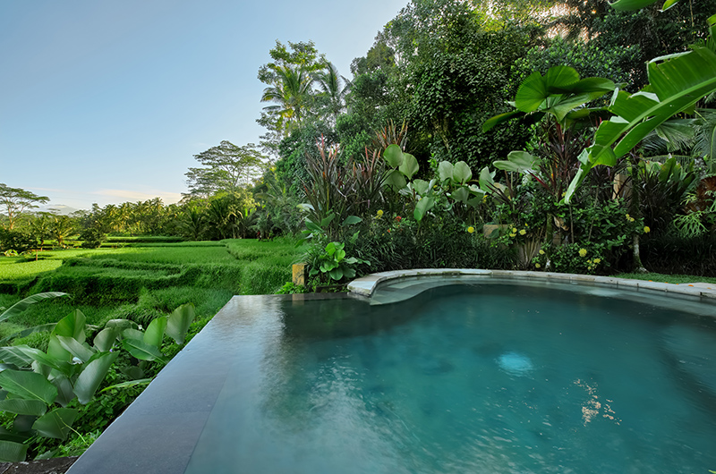 Villa Kembang Dahlia Room Pool with View | Ubud, Bali