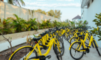 Villa Gili Bali Beach Bicycles Rental | Gili Trawangan, Lombok