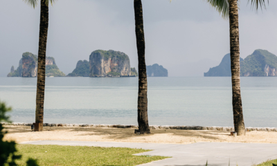 Ani Thailand Gardens with Trees | Phang Nga, Thailand