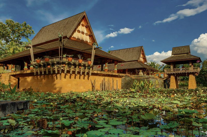 Howie's Homestay Lotus Pond | Chiang Mai, Thailand