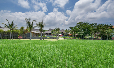 Villa Mannao Gardens and Pool View from Far | Kerobokan, Bali