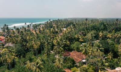 Coconut Grove Top View | Ahangama, Sri Lanka