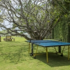Suriyawatta Pingpong Table | Weligama, Sri Lanka