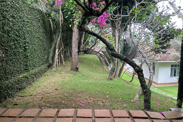 Suriyawatta View from Bedroom Three | Weligama, Sri Lanka