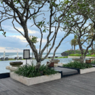 Soori Residence Pool Side | Tabanan, Bali