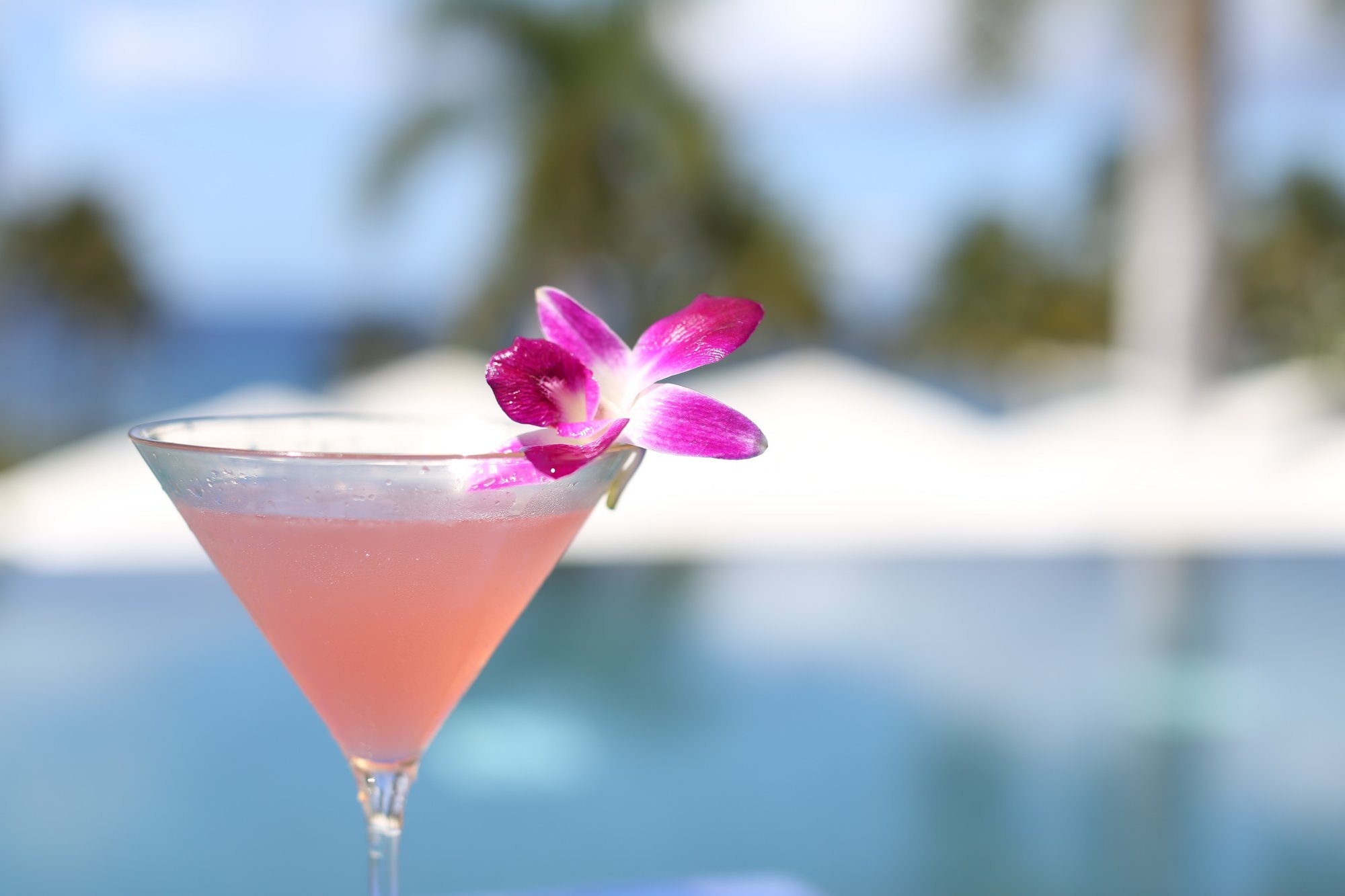 Bars in Taling Ngam Koh Samui Thailand