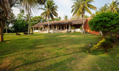 Mimosa Hill Gardens with Trees | Dickwella, Sri Lanka