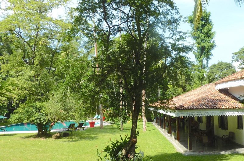 Villa Sepalika Gardens and Pool | Talpe, Sri Lanka