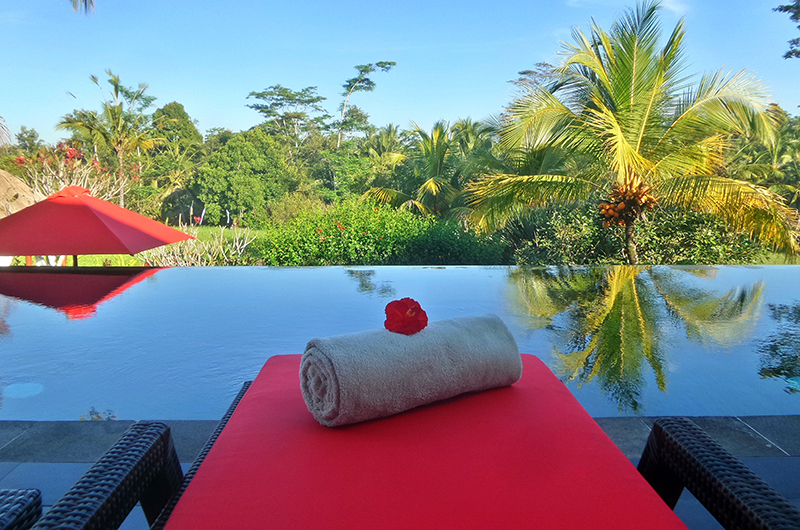 Villa Passion Swimming Pool | Ubud, Bali
