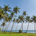Tanamera Estate Gardens with Sea View | Talpe, Sri Lanka