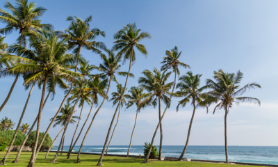 Tanamera Estate Gardens with Sea View | Talpe, Sri Lanka