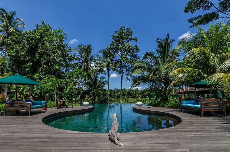 Permata Ayung Swimming Pool | Ubud, Bali