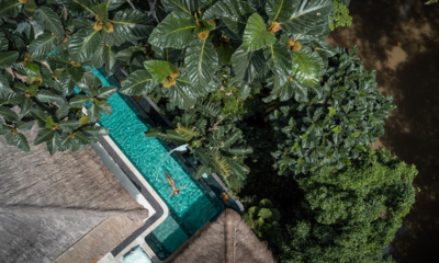 Sungai Jungle Villas Gardens and Pool from Top | Tabanan, Bali