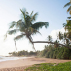 Villa Maggona Beach View | Maggona, Sri Lanka