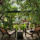 Sri Lanka Villamaggona 57