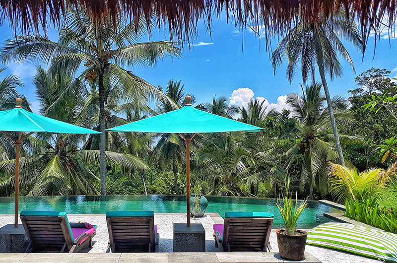 Villa Palem Swimming Pool | Tabanan, Bali