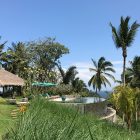 Villa Palem Pool and Garden Area | Tabanan, Bali
