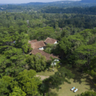 Sisindu Tea Estate Bird's Eye View | Galle, Sri Lanka