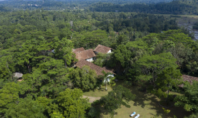 Sisindu Tea Estate Bird's Eye View | Galle, Sri Lanka