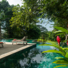 Sri Lanka Sisinduteaestate 53