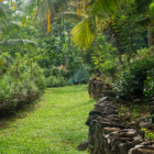 Sri Lanka Sisinduteaestate 57