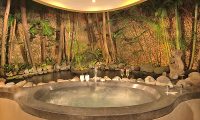 Villa Kubu 12 Bathtub | Seminyak, Bali
