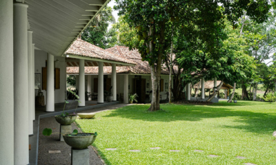 Boundary House Gardens with Trees | Galle, Sri Lanka