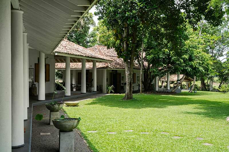 Boundary House Gardens with Trees | Galle, Sri Lanka
