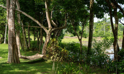 Boundary House Gardens with a Swing | Galle, Sri Lanka