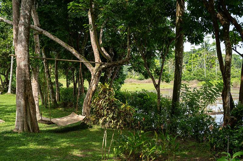 Boundary House Gardens with a Swing | Galle, Sri Lanka