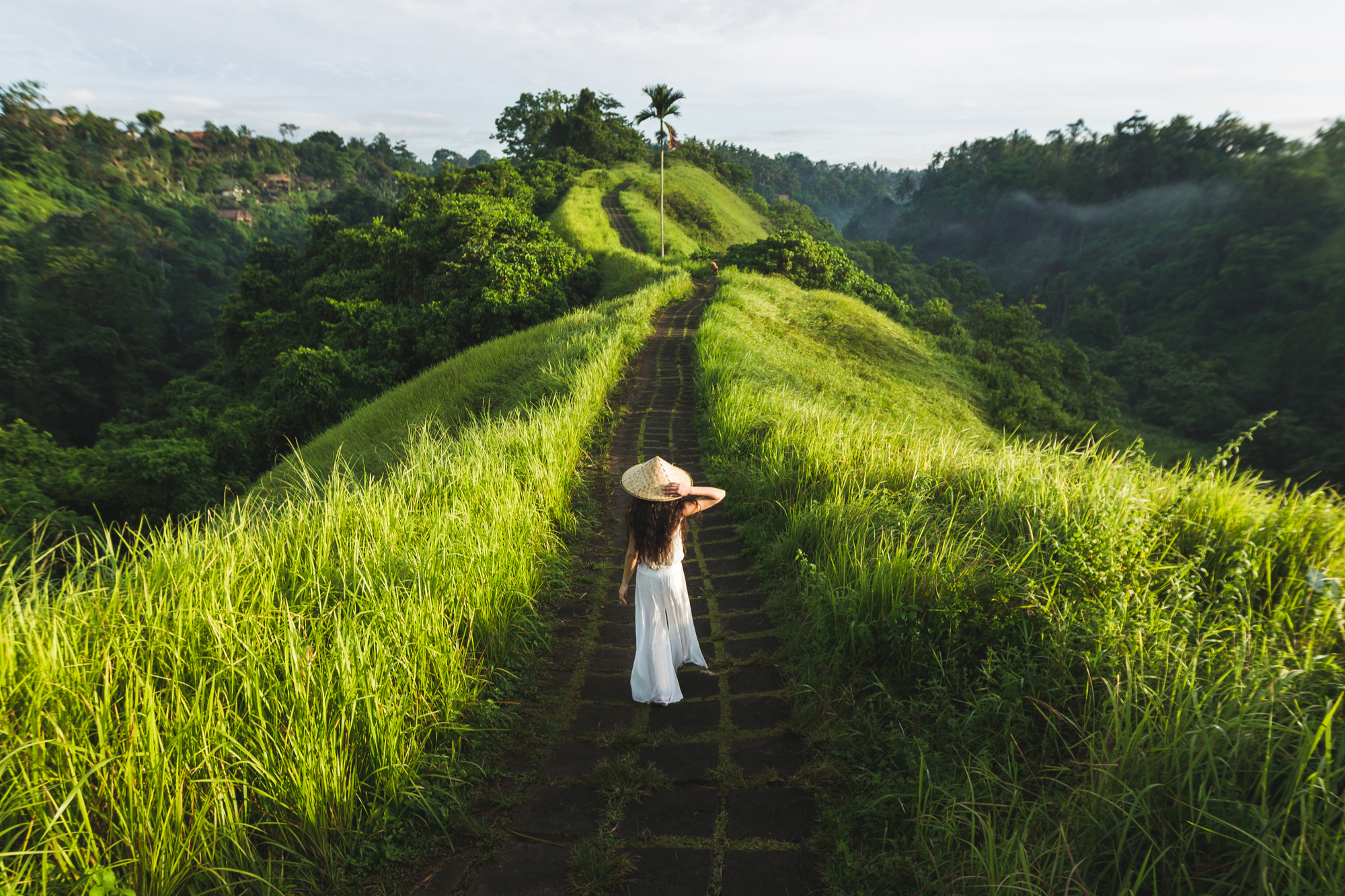 Bali Ubud Campuha Ridge Walk