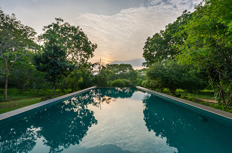 Villa Yala Swimming Pool with Forest View | Yala, Sri Lanka