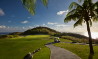 Villa Silver Turtle Golf Car | Canouan, St Vincent and the Grenadines