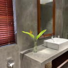 On The Rocks Fifth Bathroom with Mirror | Unawatuna, Sri Lanka