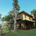South Point Cottage Garden with Coconut Tree | Koggala, Sri Lanka